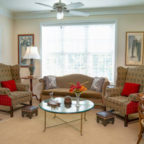 Orchard Ridge Apartment Living Room