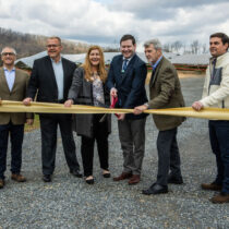 Solar array ribbon cutting